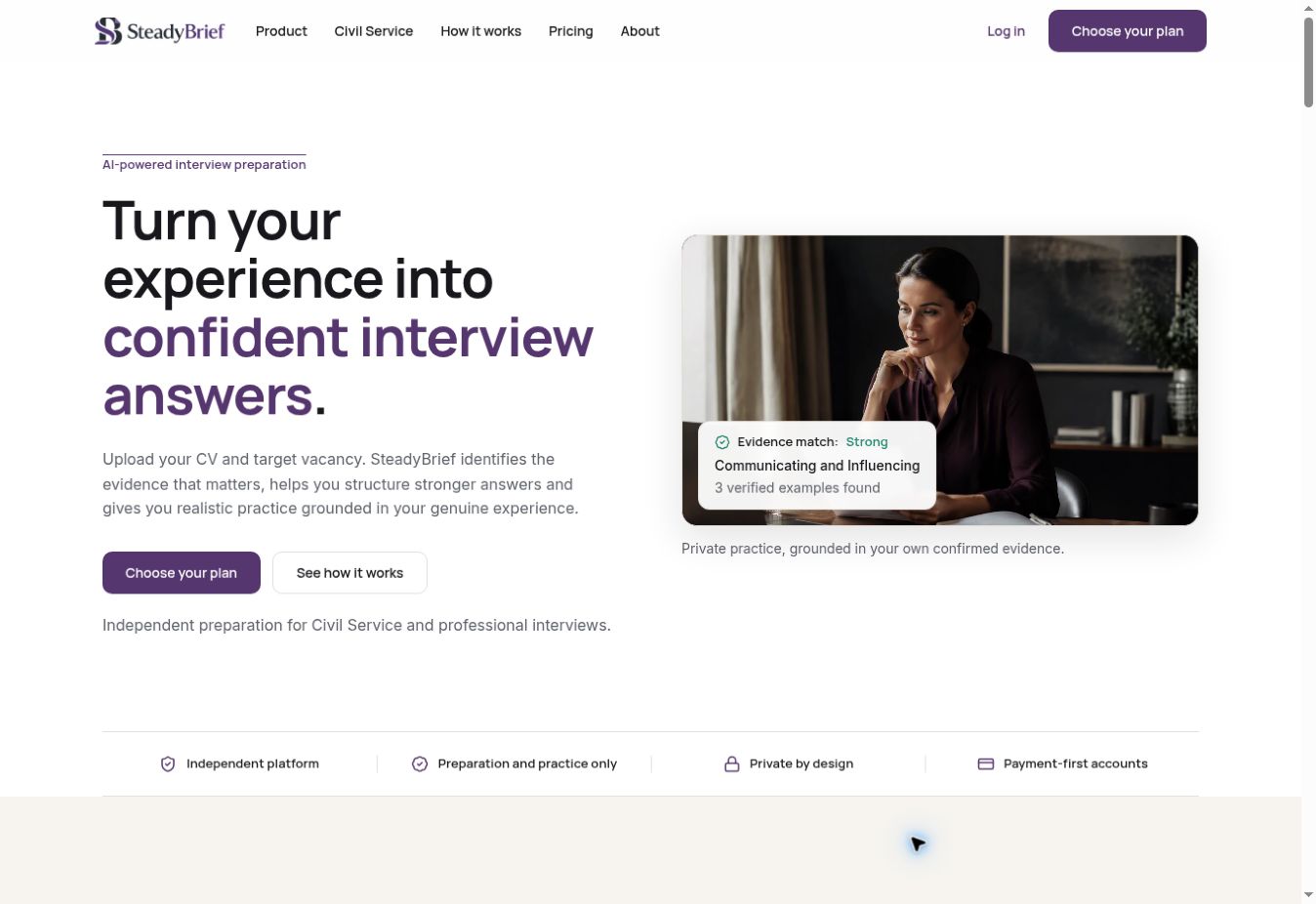 SteadyBrief, public website screenshot